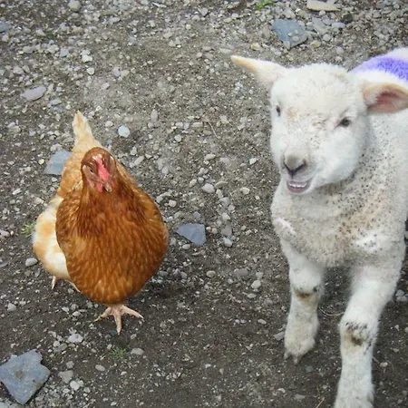 Homestay Dun Oir Farmhouse.bantry Co *